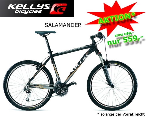 AKTION! Kellys Salamander statt 699,- jetzt nur 559,-